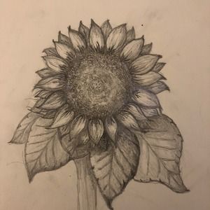 Meet your Posher, Irene